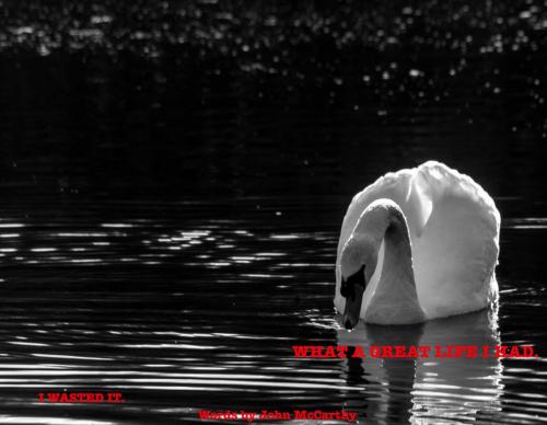 DSC_0291-Edit-Edit-1