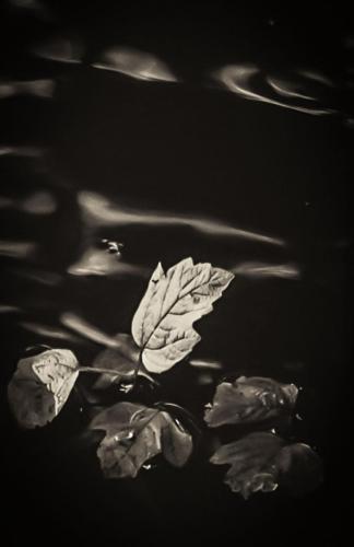 AL1 1198-Edit-1