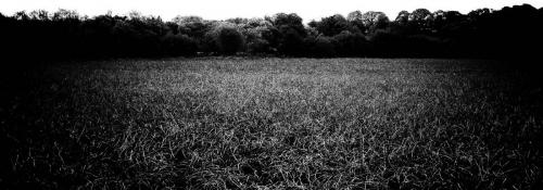 AL1 2154-Edit-12