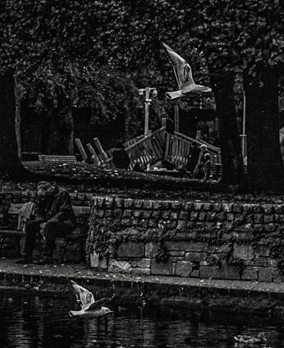 AL1 2366-Edit-1