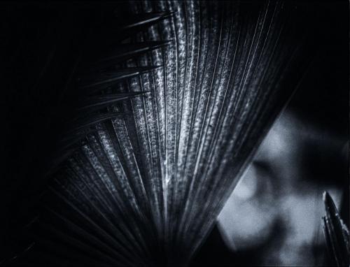 AL1 2651-Edit-1