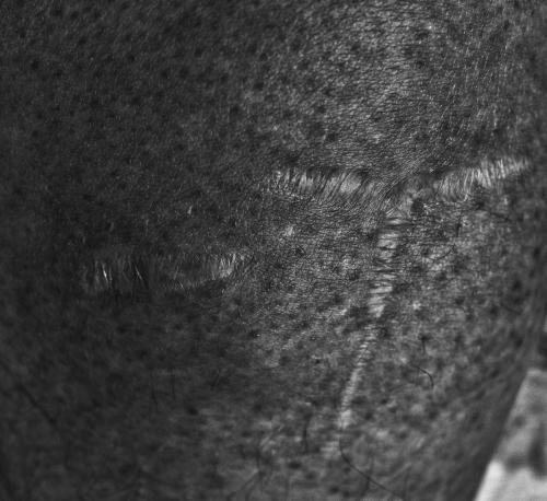 DSC 0463-Edit-1