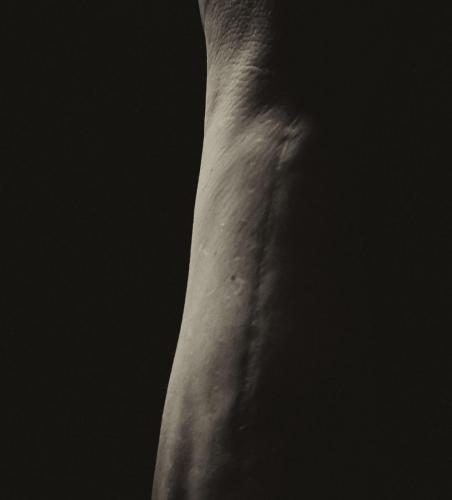 DSC 0474-Edit-1